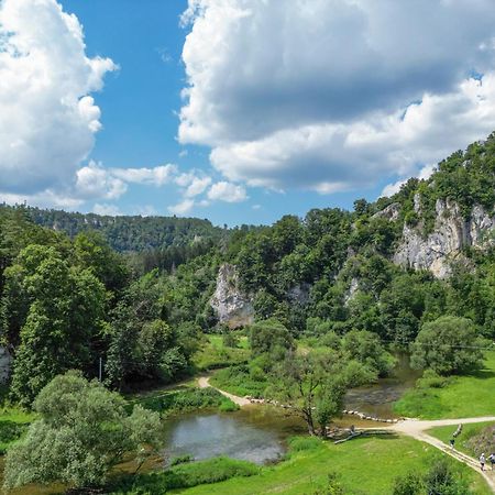 Gasthaus Jaegerhaus Fridingen an der Donau المظهر الخارجي الصورة